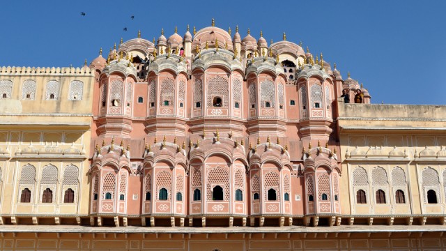 Jaipur, la rose