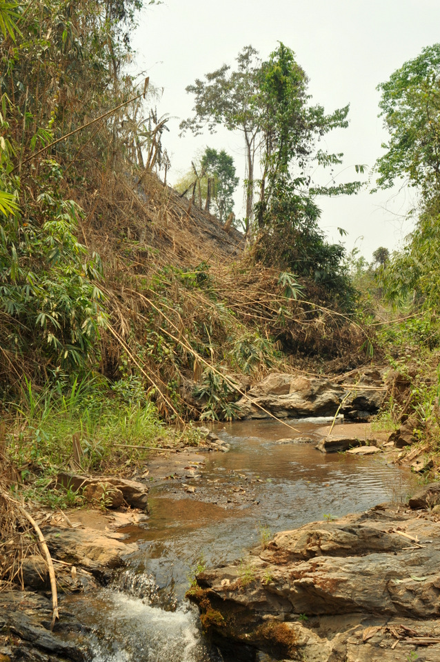 La rivière